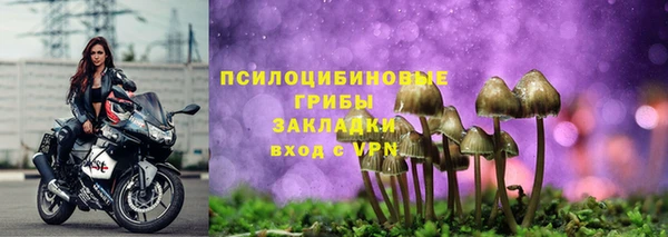 a pvp Алексин